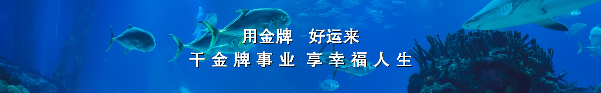 http://www.haishensl.com/data/upload/202006/20200630111553_671.jpg