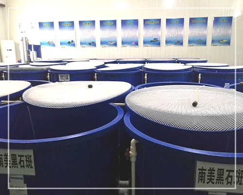 鲆鲽鱼类养殖实验室