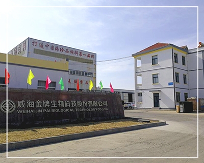 公司厂区